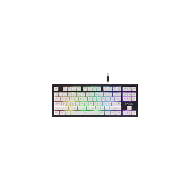 Клавиатура Defender Harpie GK-401, USB, черный + белый [45401] фото 1