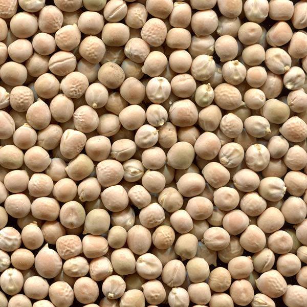 Горох урожая 2023 года фото 1