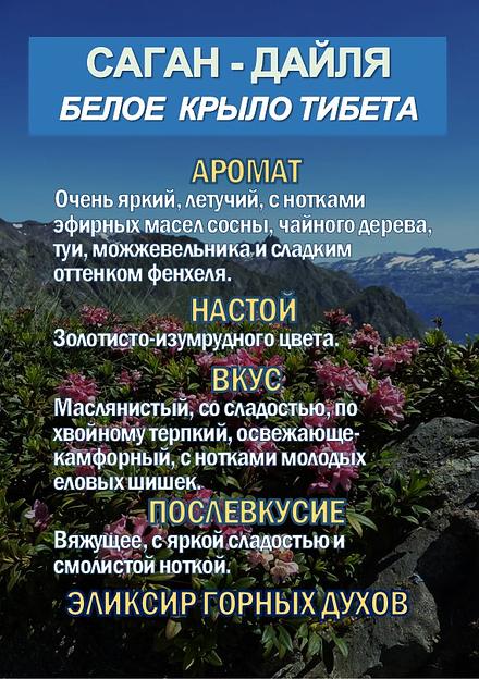 Фиточай Джиаогулан. Гинестемма пятилистная. Южный женьшень. фото 3