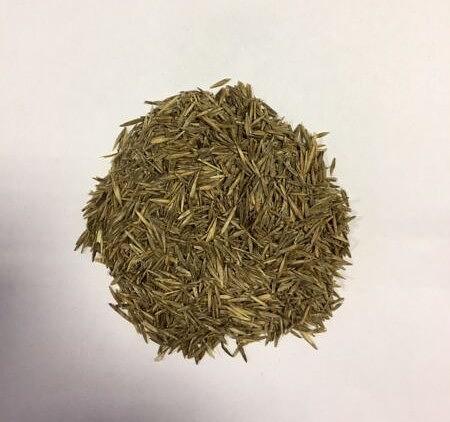 Семена Костреца безостого «Сибниисхоз 189 РС-1» опт фото 1