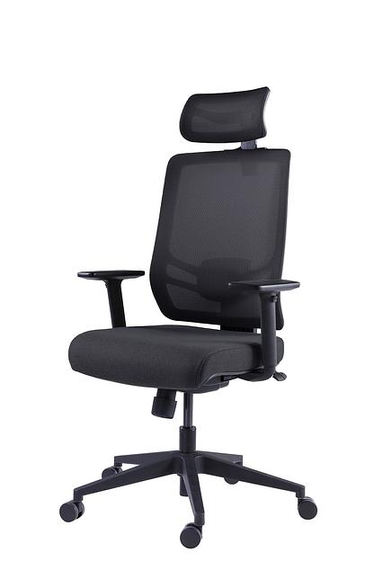 Премиум эргономичное кресло GT Chair InFlex Z, черный фото 1