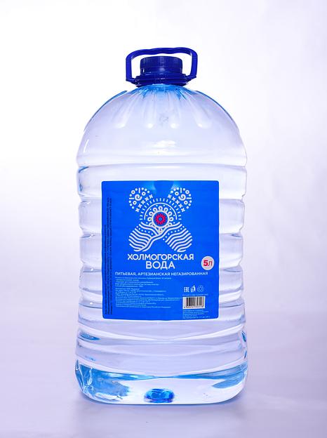 Холмогорская Вода 5 л Опт фото 1