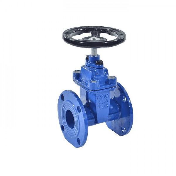 Задвижка чугун 30ч39р МЗВ обрезиненный клин гайка чугун, шток сталь Ду 300 Ру16 фл фото 1