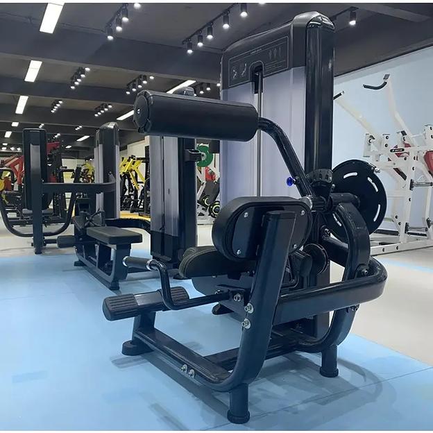 Разгибание спины Insight Fitness TF11 фото 8