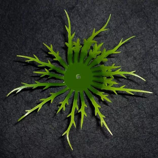 Добавка середина Длинные усы Зелёная 5-12см 161с (с крепл.) 706шт/кг фото 3