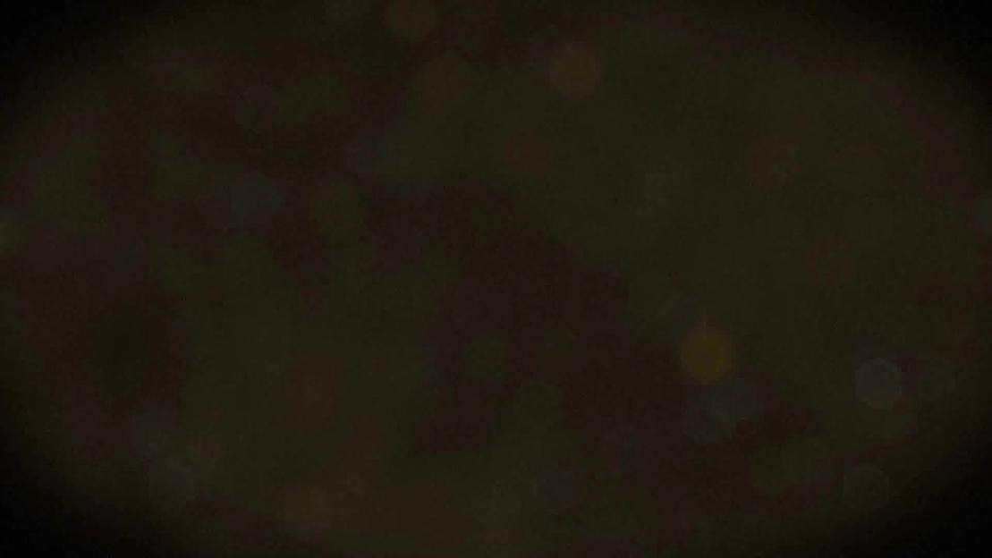 Подъемник-загружатель ДВАК ПЗ-01-2100 фото 6