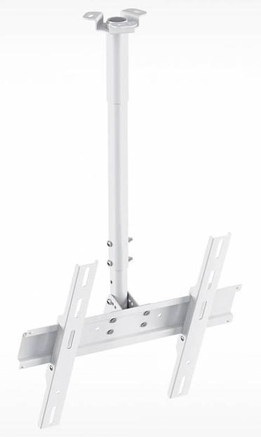 Кронштейн для телевизора Holder PR-101-W белый 32"-65" макс.60кг потолочный фиксированный фото 1