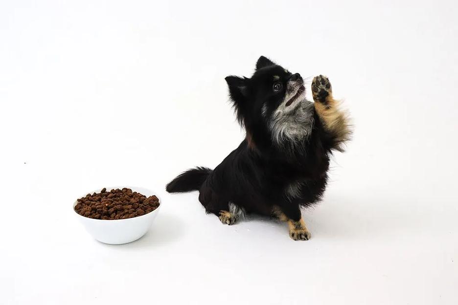 Сухой корм для взрослых собак мелких пород полнорационный, 1 кг фото 6