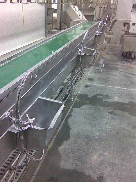 Транспортер разборки потрохов ВИ-1015А фото 2