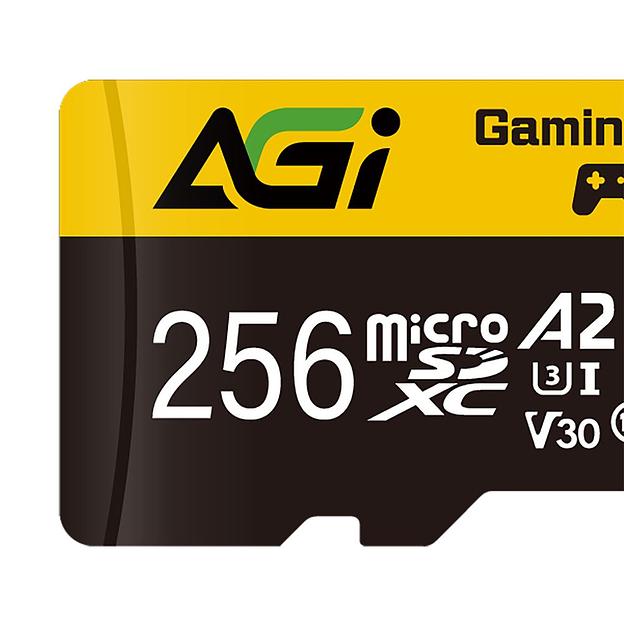 Карта памяти AGI 256GB microSD AGI256GGSTF138 фото 2