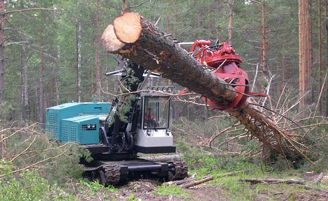 Валочно пакетирующая машина ЛП-19 с погрузочным навесным оборудованием фото 1