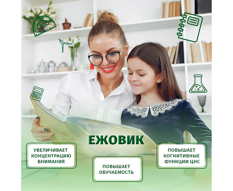 Пищевая добавка «Ежовик» 120 капс фото 3