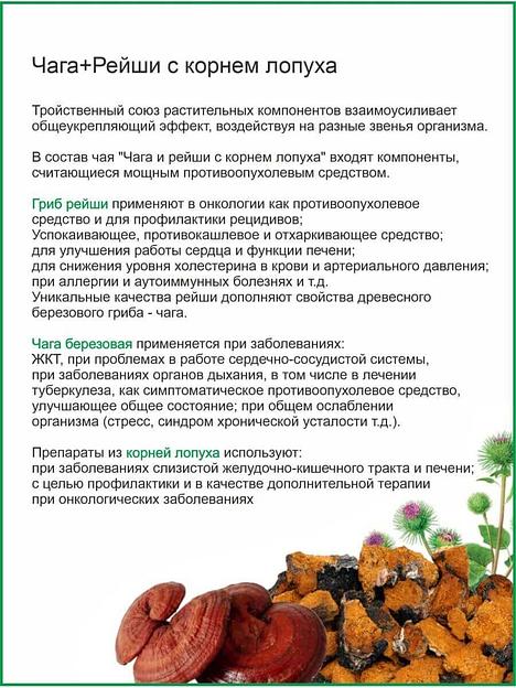 Чай Otvarchik pei «Чага+Рейши+Лопух» 100 г ОПТ фото 3