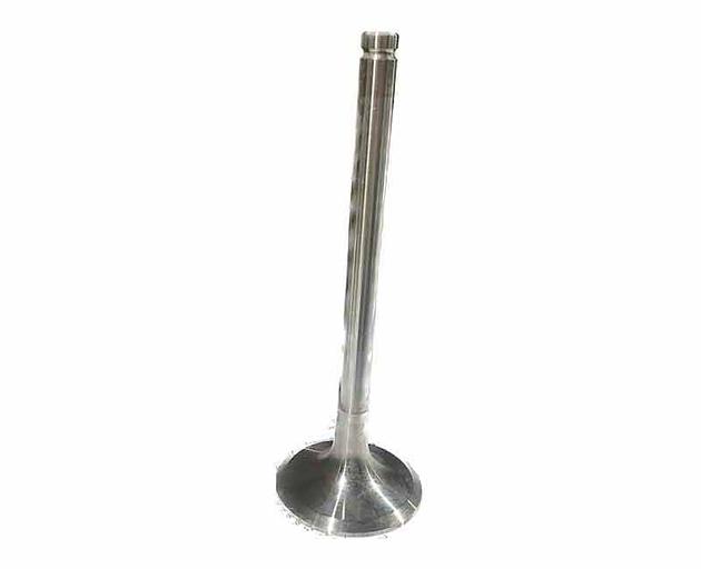 Intake valve D55 WD615/WP10 Euro2 SHAANXI/HOWO 612600050073 фото 1