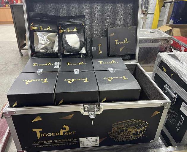 Поршневая группа DEUTZ WP6G125E22 13032095 TiggerPart фото 1