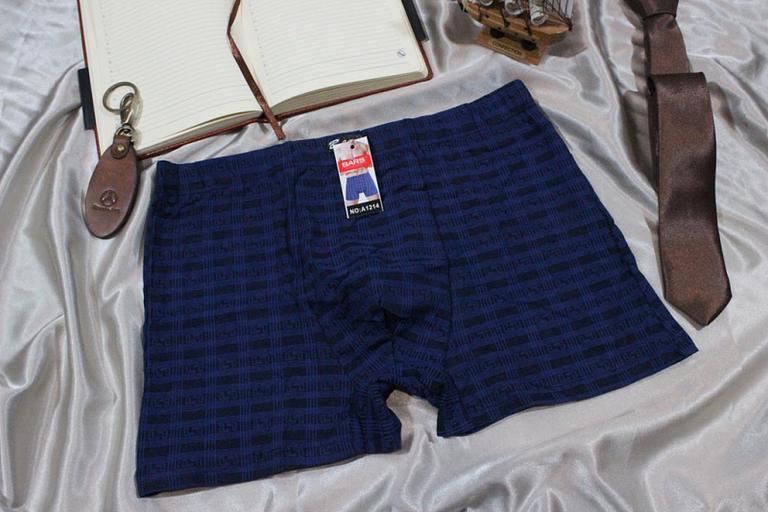 Men's boxer briefs p-p 46-54 Art. А1214 BARS (room 10108) фото 1