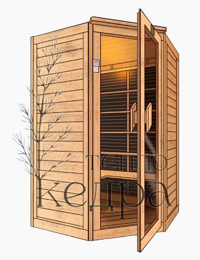Сауна ИК №2 «Комфортная» с карбоновым нагревателем ОПТ фото 2
