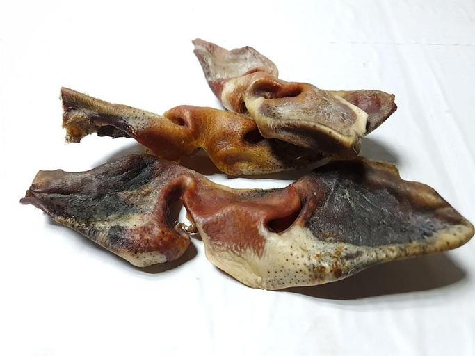 Лакомство для собак «Носопырки (носы говяжьи)», опт фото 1