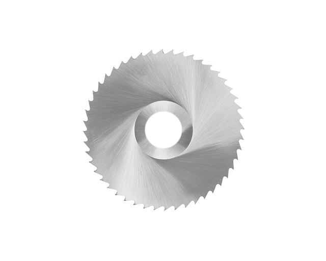 Cutting cutter 100x 2.8 x27 mm type 1 z=100 P6M5 HORTZ with verification фото 1