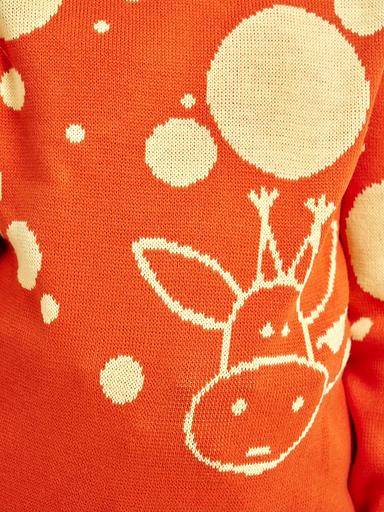 Jumper "Giraffe" terracotta, for girls WHOLESALE фото 8