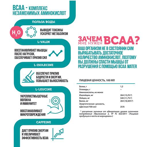 «BCAA су лайм жалбызын» 0,5 л ішіңіз фото 4