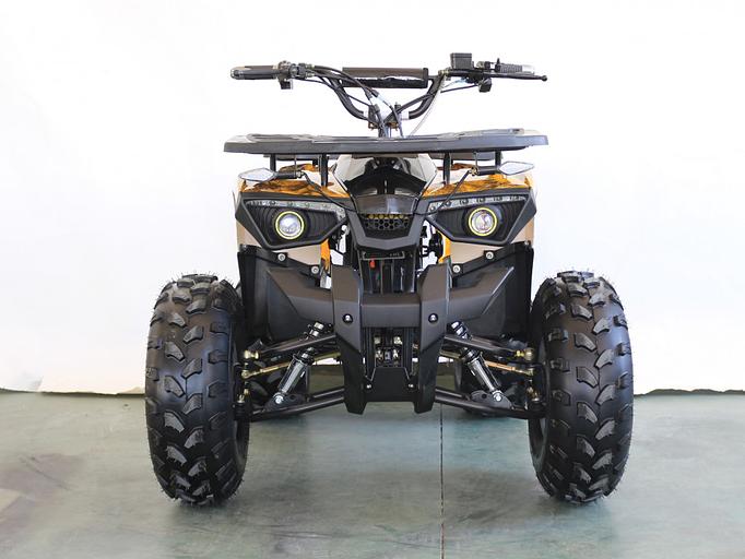 Квадроцикл GreenCamel Атакама T240 золотая осень (48V 1000W R8 Дифференциал) пониженная фото 7