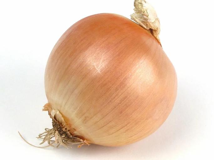 Лук репчатый в мешках от 0,5 до 40 килограмм ОПТ фото 3