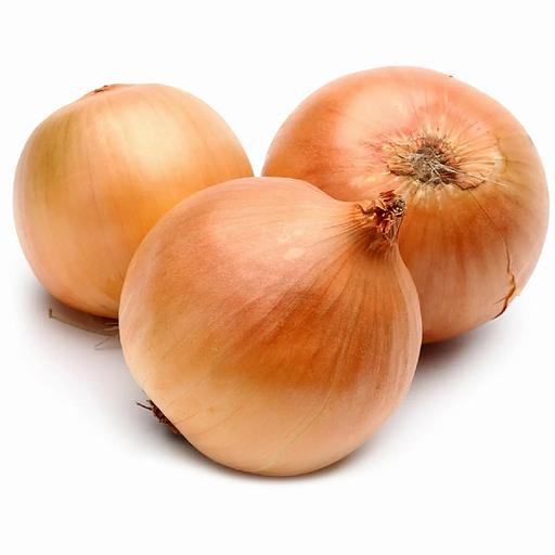 Лук репчатый в мешках от 0,5 до 40 килограмм ОПТ фото 4