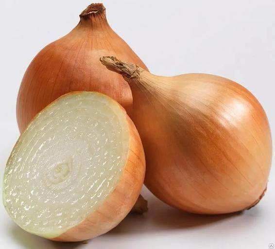 Лук репчатый в мешках от 0,5 до 40 килограмм ОПТ фото 5