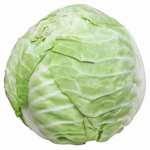 White cabbage in bags from 0.5 to 40 kilograms wholesale фото 1