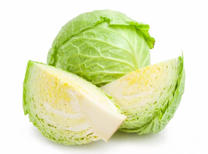 White cabbage in bags from 0.5 to 40 kilograms wholesale фото 2