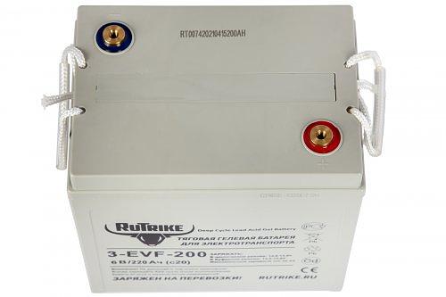Тяговый аккумулятор RuTrike 3-EVF-200 (6V220A/H C3) фото 2