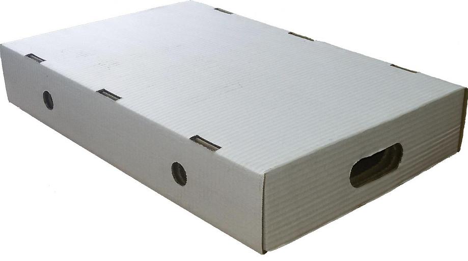 490x300x80 мм жылжытуға арналған картон қораптар, көтерме фото 1