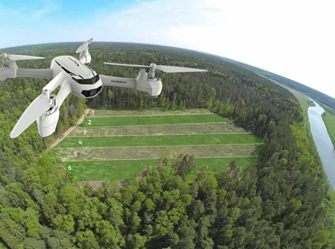 Услуга по лесовосстановлению фото 3