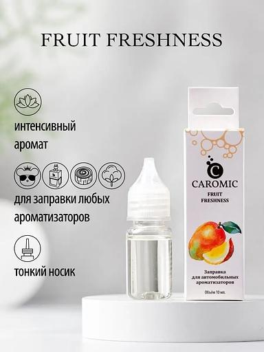 Заправка для автомобильных ароматизаторов Caromic «Fruit Freshnes» 10 мл ОПТ фото 2