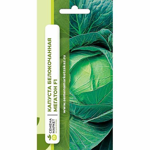 Тұқым себу Ақ қырыққабат «Мегатон Ф1» ОПТОМ фото 1