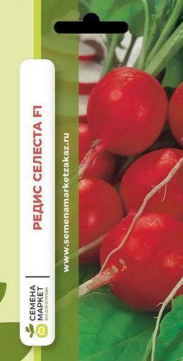 Тұқым себу Шалғам «Celeste F1» КӨТЕРМЕ фото 1