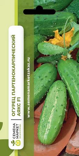 Қияр тұқымдары "Ajax F1" КӨТПЕМ фото 1