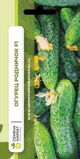 Тұқым себу Қияр «Родничок F1» КӨТЕРМЕ фото 1