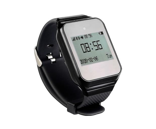 Система вызова из часов и 5-ти кнопок SWB24-1 ОПТ фото 5