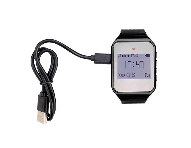 Система вызова из часов и 5-ти кнопок SWB24-1 ОПТ фото 9