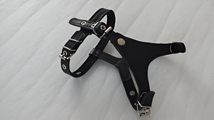 Шлейка из натуральной кожи, подкладка фетр L ОПТ фото 1