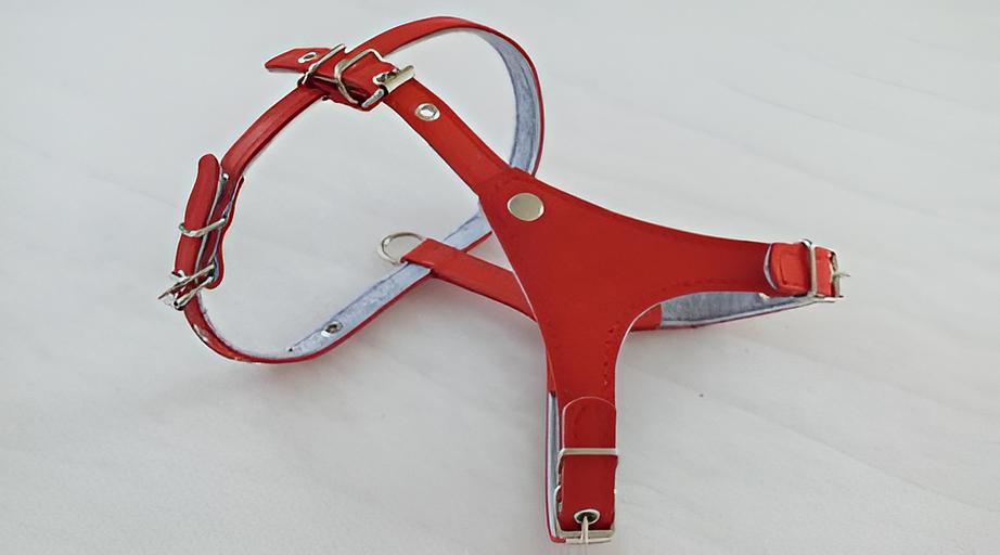 Harness made of genuine leather, felt lining XL WHOLESALE фото 2