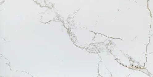 Matte porcelain tiles KW(F)48921 (400x800 mm) фото 1