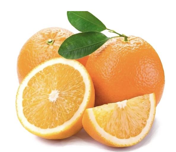 Washington Navel апельсин, көтерме сауда фото 1