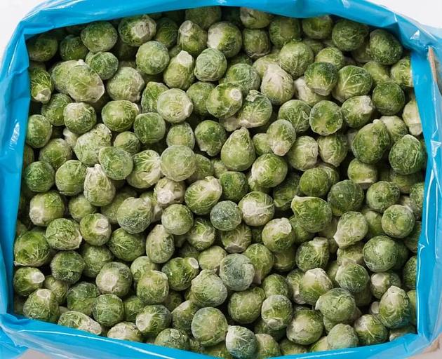 Брюссель өскіндері мұздатылған «Жаһандық аяз». фото 1