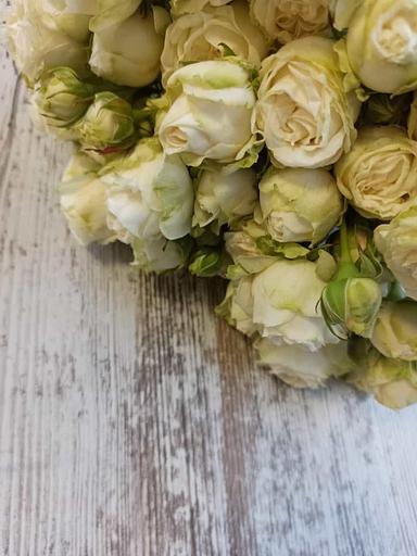 Розы сорта Мисс Бомбастик ОПТ фото 2