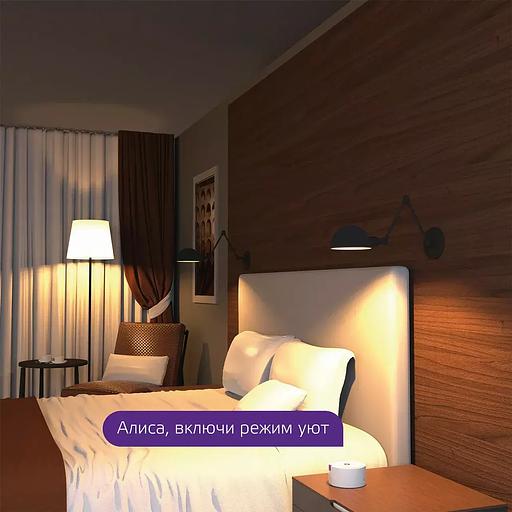 Lamp Gauss Smart Home A60 10W 1055lm 2700K E27 dimmable 1070112 OPT фото 9