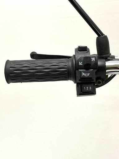 Электровелосипед GreenCamel Транк 20 V8 PRO (R20 250W 60V10Ah) алюм, 2х подвес, DD, 123835 фото 9