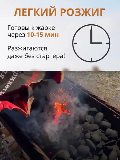 Угольные брикеты для гриля Березняк 10 кг фото 2